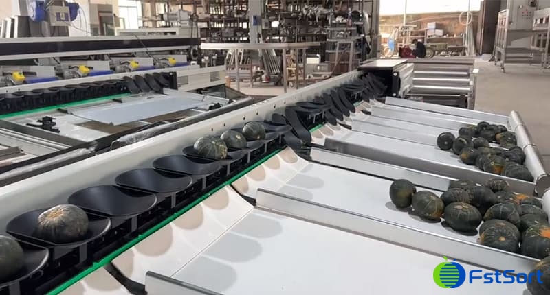 images/1730794094223Pequeña máquina calificada de calabaza.jpg